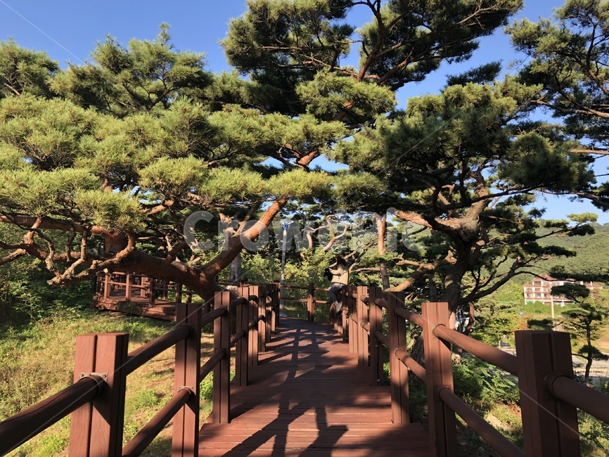 outdoors,정자,산책,산책로,산,공원,운동