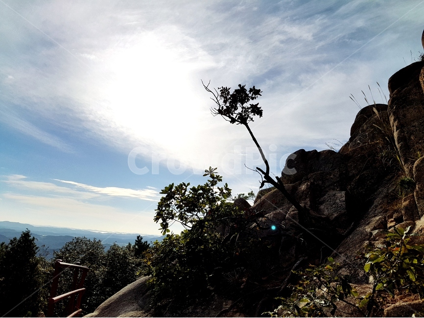 용봉산,나무,해,풍경,산,바위,자연,풍경,nature,landscape,한국자연풍경,한국자연경관,korea nature landscape