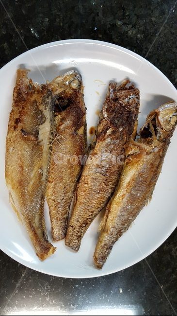 생선,물고기,바다생선,생선반찬,바다물고기