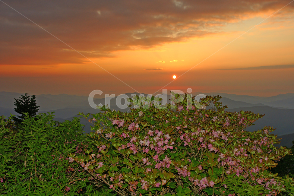 덕유산,철쭉,일출,국립공원,산,자연,풍경,nature,landscape,outdoors,옥외,dusk,황혼,sunset,일몰,sky,하늘,dawn,새벽,red sky,붉은 하늘