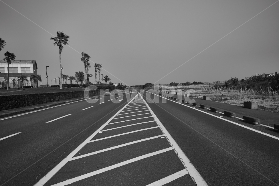 제주도,길,길거리,흑백사진,도로,흑백,모노톤,monochrome,black and white,교통,교통수단,traffic,transportation,asphalt,아스팔트,road,highway,고속도로,freeway,고속 도로