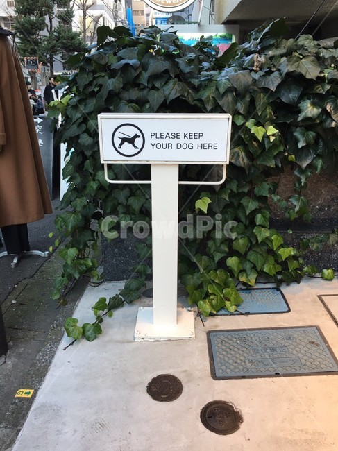 표지판,sign,피켓,picket,식물