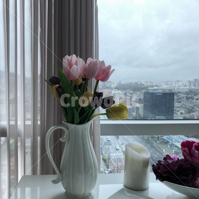 꽃,화분,풍경,분위기,테이블