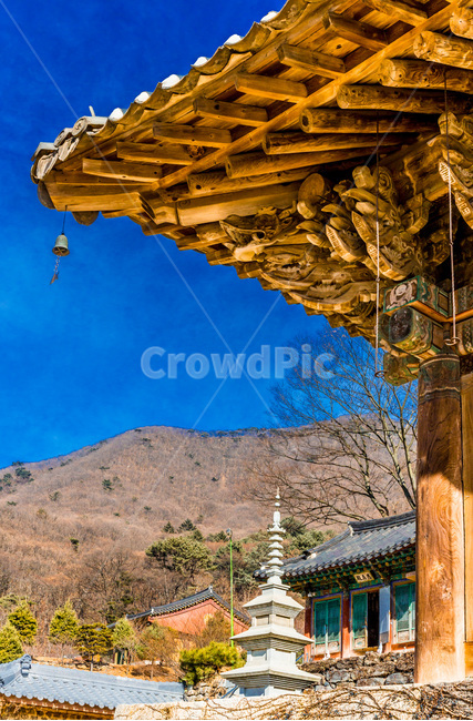 처마,풍경,사찰,문화유산,무단청,건축,한국전통,한국문화,korean traditional,korean culture,종교,신앙,religion,belief,faith,건축물,건물외관,exterior,building,structure,architecture,construction