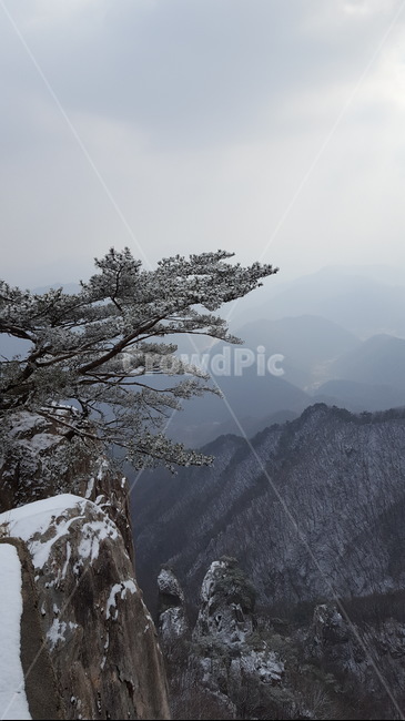 산,겨울,풍경,풍경사진,mountain,winter,landscape,세로,세로사진,겨울,계절,winter,season