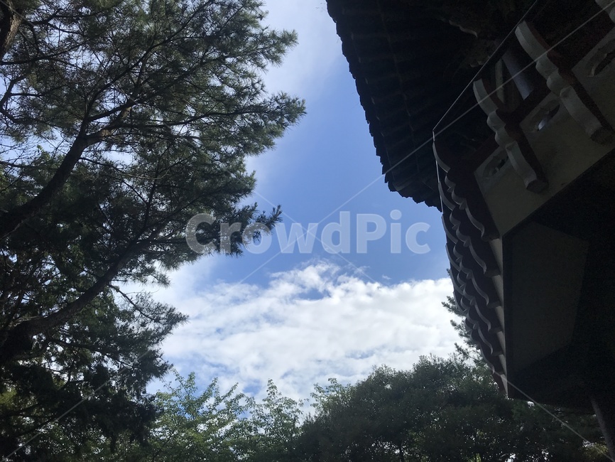 제주도,제주특별자지도,공원,정자,풍경,삼무공원