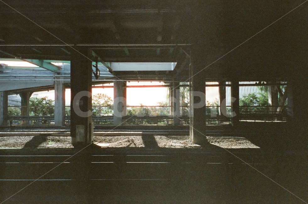 필름,필름사진,기차역,감성,아날로그,빛,햇살,수원역,씨네스틸,코닥,영화필름,film,suwon,cinestill,sunshine,교통,교통수단,traffic,transportation,감성,sensible,feeling,porch,현관,patio,안마당