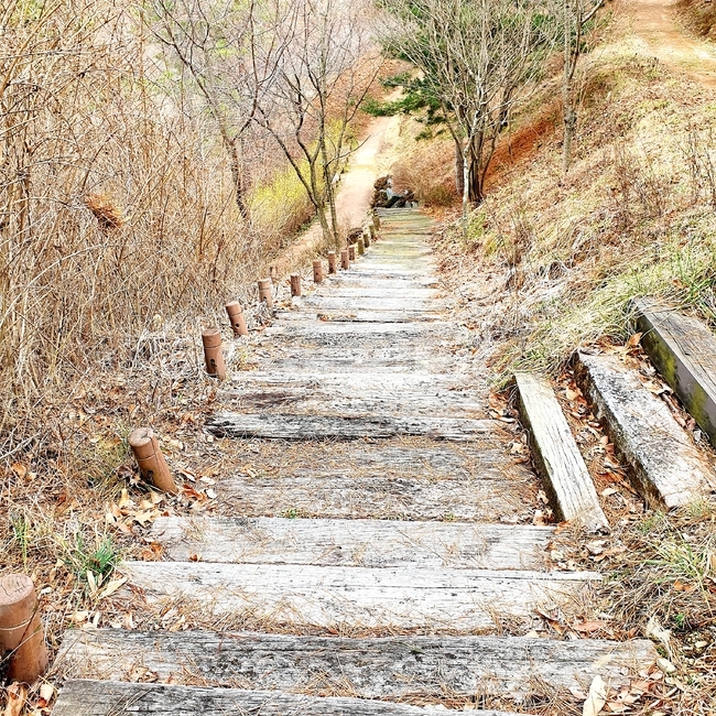 풍경,풍경사진,자연,흙길,자갈