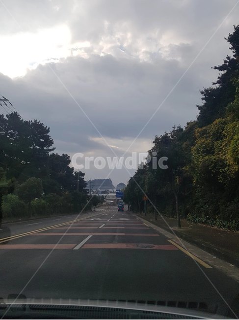 차도,길,하늘,숲,자연,교통,교통수단,traffic,transportation,road,도로,asphalt,아스팔트,highway,고속도로,freeway,고속 도로