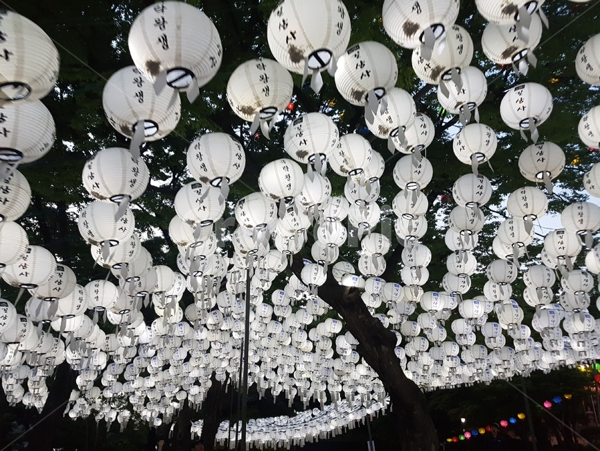 연등,초파일,석가탄신일,길상사,절,사찰,lotuslantern