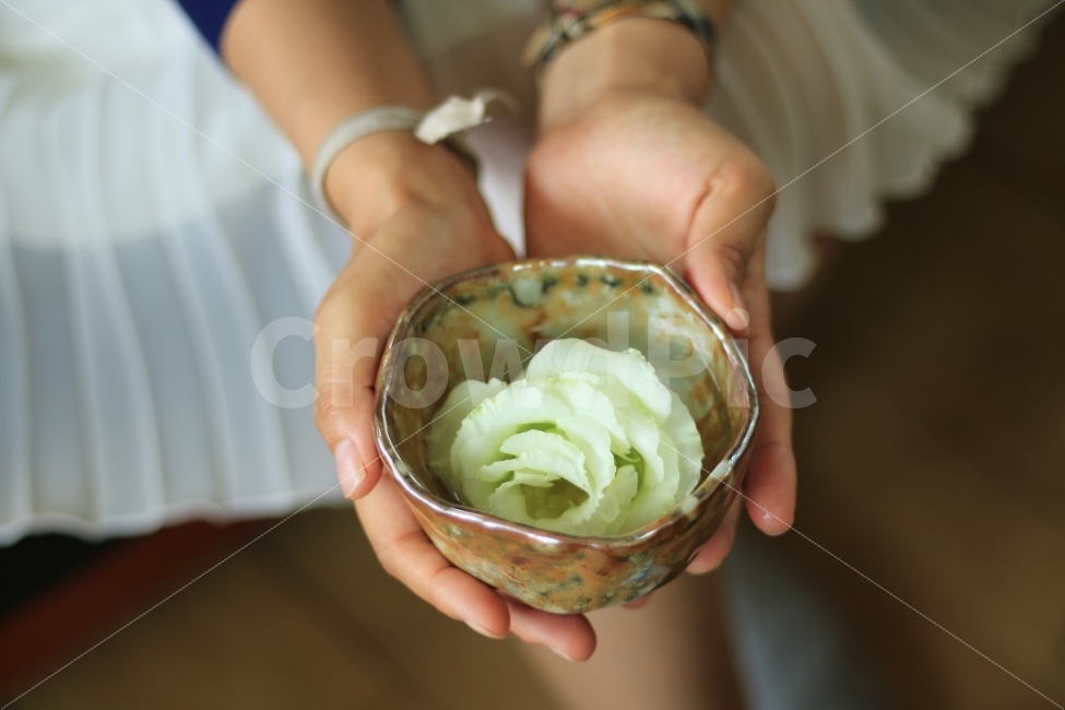꽃,자연,아름다운,접사,연출,사람,두손,뷰티,계절,컨셉,콘셉,여자,flower,식물,palnt,nature,people,concept,한송이,우아한,사랑스러운,스타일,패션,손,모델,꽃한송이,봄,송이,식물,자연,plants,nature,꽃,flower,사람,인물,인간,human,person,연출,컨셉,콘셉,direction,concept