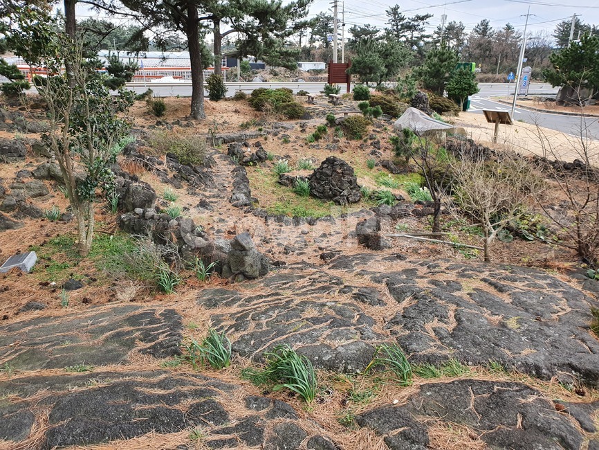 자연,돌,제주43,돌무덤,제주돌,자연,풍경,nature,landscape,한국자연풍경,한국자연경관,korea nature landscape,제주도,jeju,jeju island