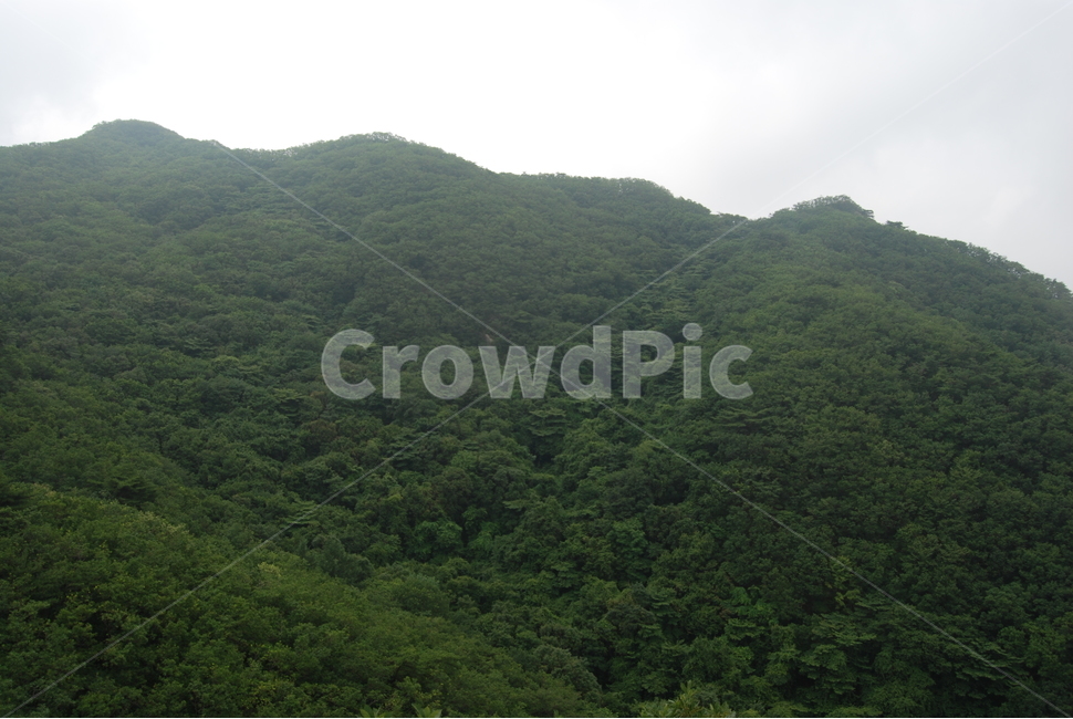 hikingtrail,mountain,nature,summer,여름,자연,풍경,nature,landscape,outdoors,옥외,hill,언덕,slope,경사