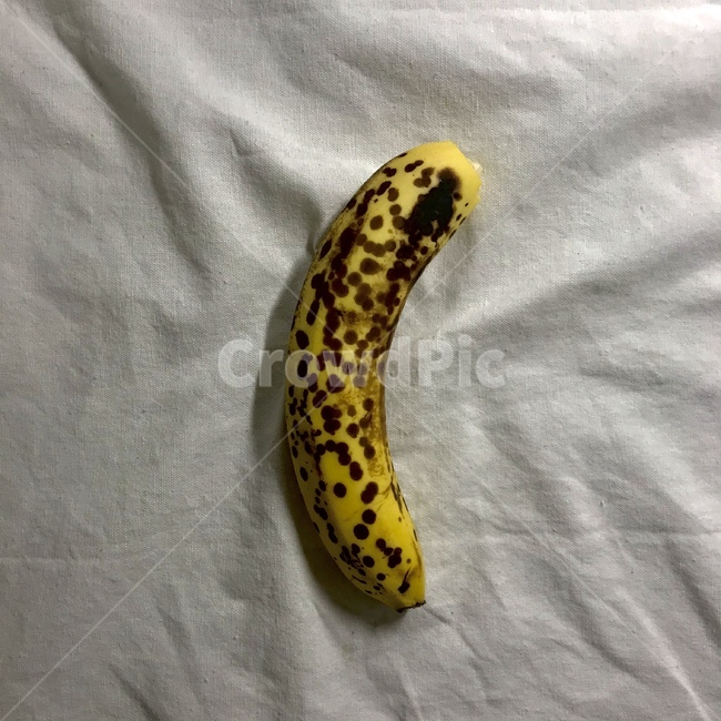 바나나,노란색,노랑,슈가스팟,banana,과일,음식,식재료,요리,food,cook,meal,dishes,food reserves,과일,열매,fruit