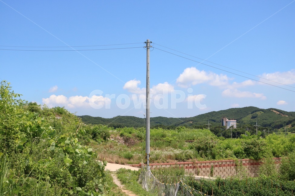 여름,시골,자연,풍경,하늘,구름,식물,초록,산,summer,natus,nature,scenery,huukei,sky,sora,cloud,kumo,plants,shokubutsu,green,midori,mountain,전선,검정,black,kuro,자연,풍경,nature,landscape