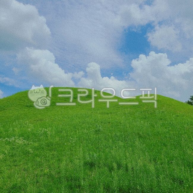 봉분,빈티지,경주,감성,레트로,자연,들,색감,색상,배경