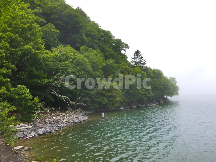 호수,안개,자연,낚시,산,lake,fog,nature,fishing,woods,자연,풍경,nature,landscape,water,물,outdoors,옥외,land,땅