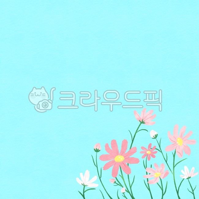 Cosmos,autumn,flowers,flower background,flower background picture,flower background illustration,flower illustration,flower picture,season,background,flower petal,background picture,flower field,flower field background,flower field picture,