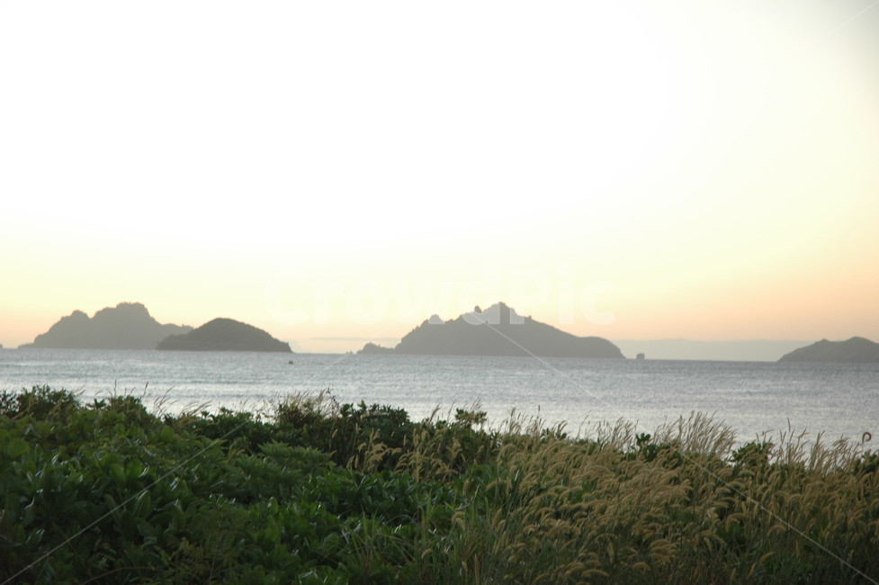 갈대,바닷가,해질녘,sunset,감성사진,beach,reed,자연,풍경,nature,landscape,land,땅,outdoors,옥외,shoreline,해안선,water,물,sea,바다,ocean,대양,coast,연안