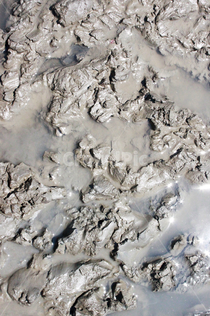 갯벌,바다,배경,서해,mudflat,sea,background