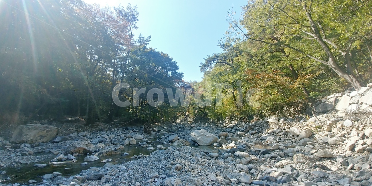 가뭄,물,nature,자연,도로,자갈