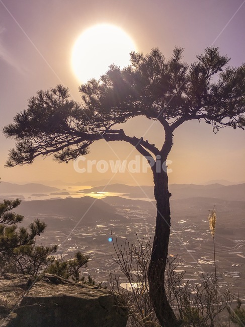등산,산,나무,자연,해,바다,조화,웅장함,돌,건물,산위,산중턱,고성,거류산,고성산,식물,자연,plants,nature,나무,trees,wood