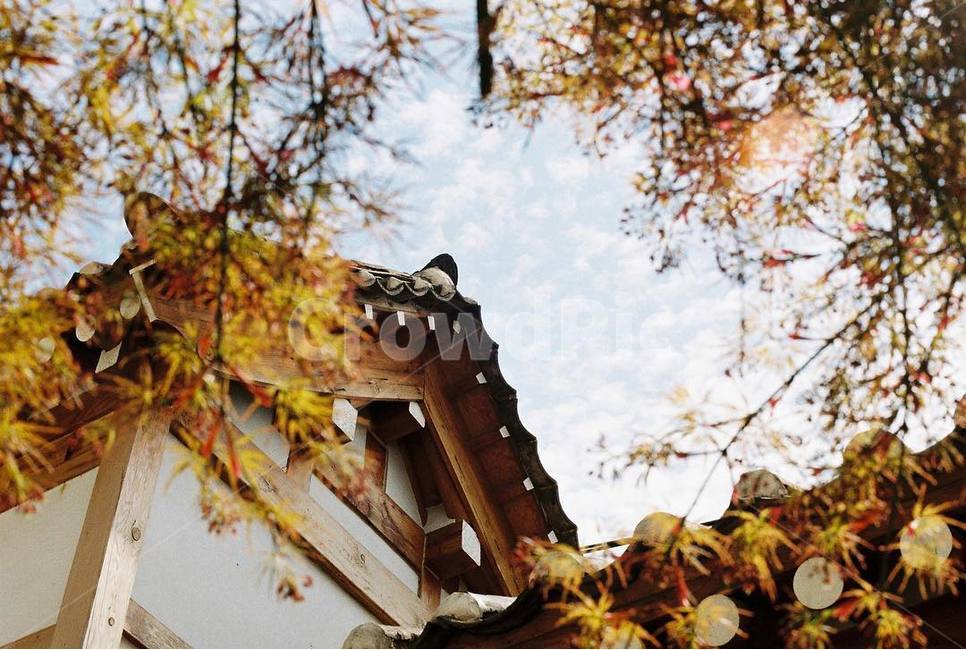 한옥,가을,하늘,기와,빛,필름