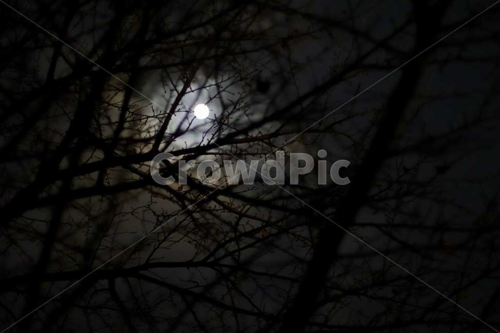 감성,고독,외로움,갬성,감정,야경,야경,밤,풍경,nightscape,night,landscape,nature,자연,outdoors,옥외,universe,우주,astronomy,천문학,outer space,대기권 밖,moon,달