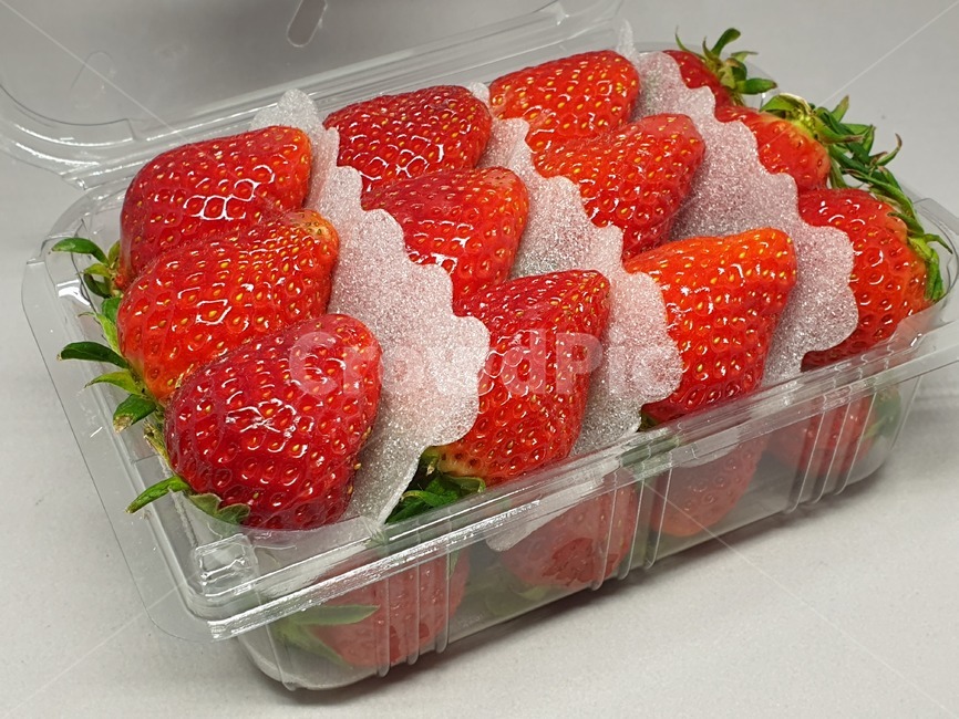 딸기,과일,strawberry,스트로우베리,스트로베리,fruit,프룻,후루츠,후르츠,상품,투명케이스,플라스틱케이스,식품,식자재,식재료,사물,오브젝트,object
