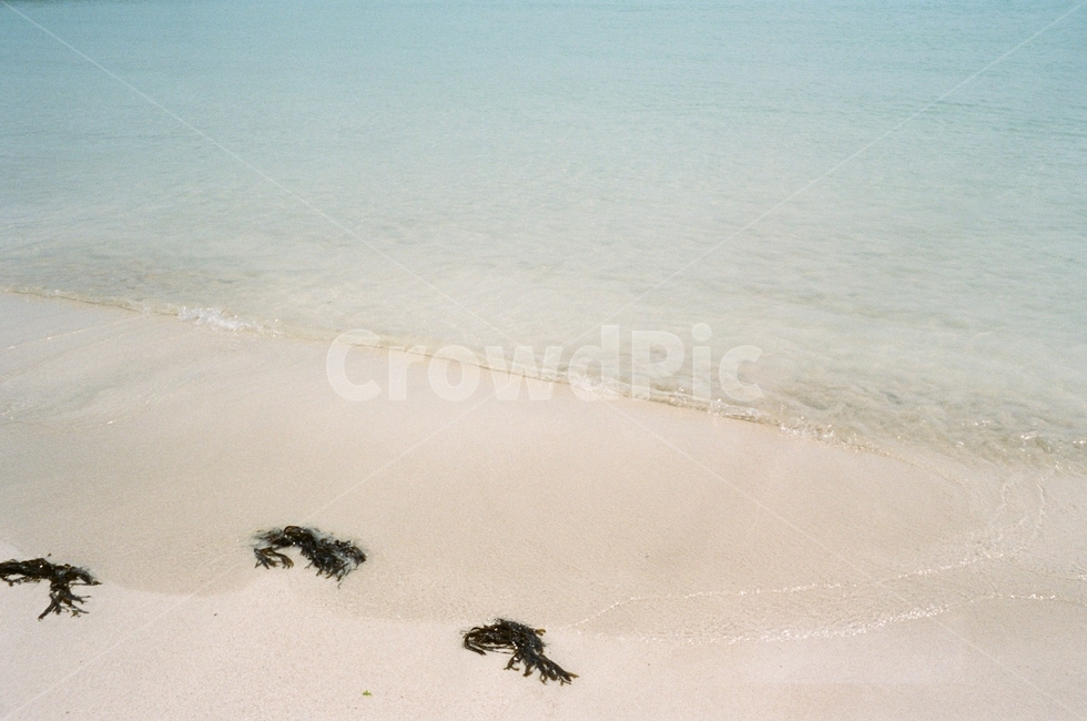 바다,해변,제주도해변,바닷가,필름,해변,바다,beach,sea