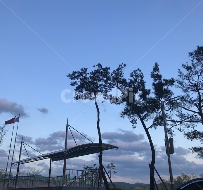 나무,밤하늘,구름,영롱,감성,자연,풍경,nature,landscape