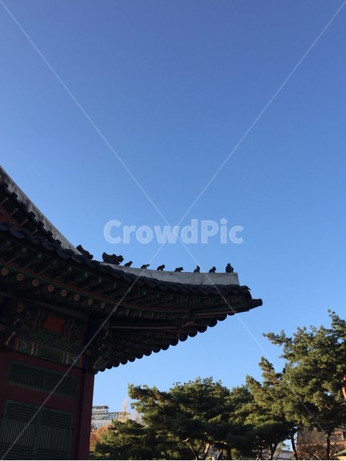 architecture,건축물,building,한옥,한국,korea,한국전통,한국문화,korean traditional,korean culture,건축물,건물외관,exterior,building,structure,architecture,construction