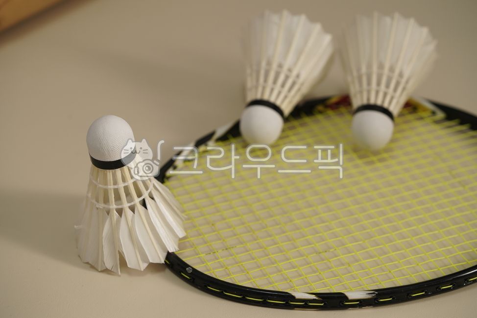 shuttlecock,feather,work out,White,sports,white,Badminton,equipment,badminton,hobby