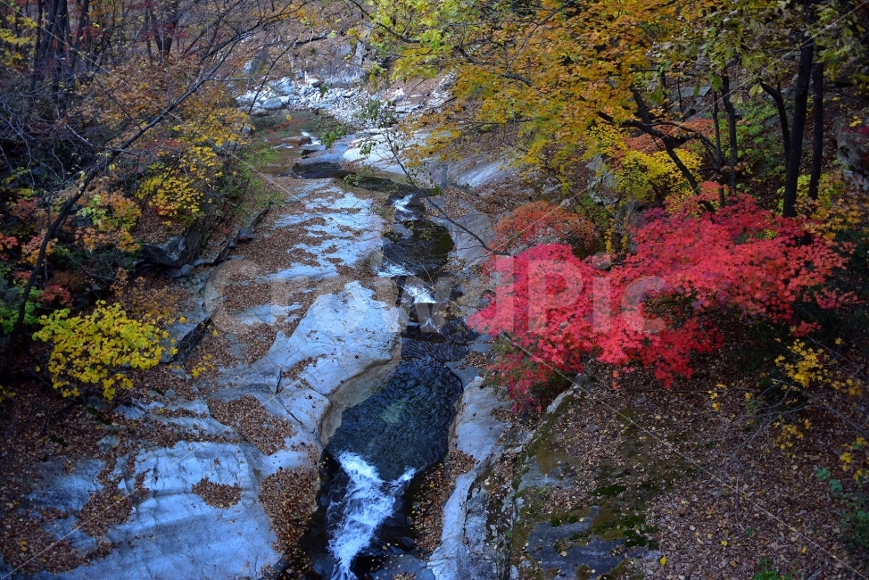 설악산,가을,풍경,단풍,탐방,국립공원,파란하늘,가을색,오색,울긋불긋,알록달록,그림같은,칼라풀,뷰티플,아름다운,힐링,감성,자연,정취,산세,명산,100대명산,nature,산,등산,트레킹,비경,경치,사진,색채,가을의정취,가을,계절,fall,autumn,season,자연,풍경,nature,landscape,한국자연풍경,한국자연경관,korea nature landscape,plant,식물,leaf,잎,tree,나무