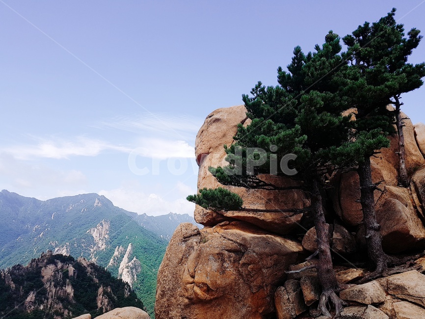 나무,돌,하늘,바위산,정상,자연,풍경,nature,landscape,식물,plants,나무,trees,wood,outdoors,옥외
