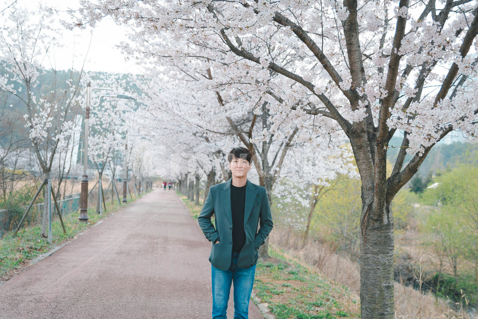 남자,인물,벚꽃,봄,man,봄,계절,spring,season,사람,인물,인간,human,person,남성,남자,man,male,plant,식물,pants,바지