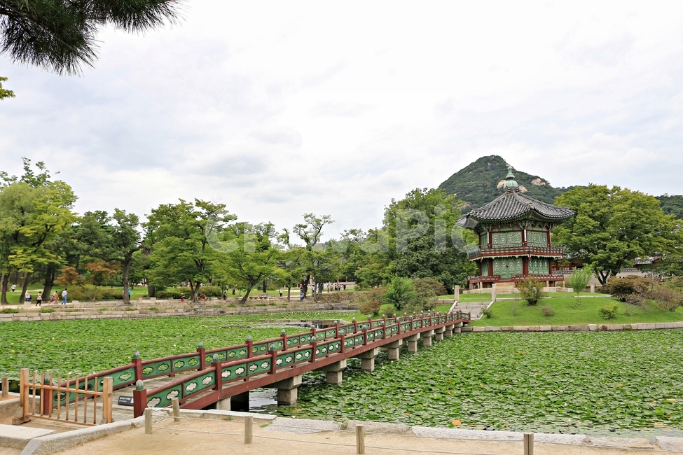 경복궁,향원정,정원,전통,궁궐,궁,나무,여름,푸르름,palace,landmark,감성,traditional,풍경,summer,여름,계절,summer,season,한국전통,한국문화,korean traditional,korean culture,랜드마크,landmark,tourist attraction,한국랜드마크,한국관광지,한국명소,korea landmark,korea tourist attraction,building,건물,water,물