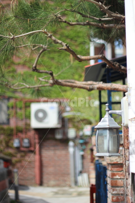 봄,소나무,길거리,골목,조명,골목길,alley,사물,물건,오브젝트,thing,object,matter