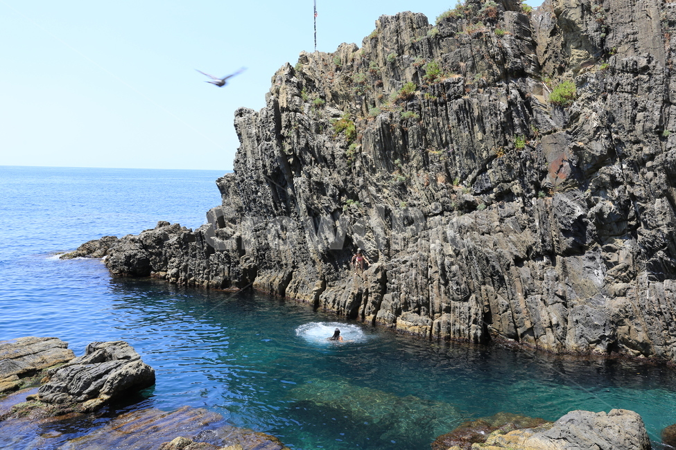 이태리,이탈리아,친퀘테레,italy,cinqueterre,마나롤라,바다,돌,언덕,사람,수영,갈매기