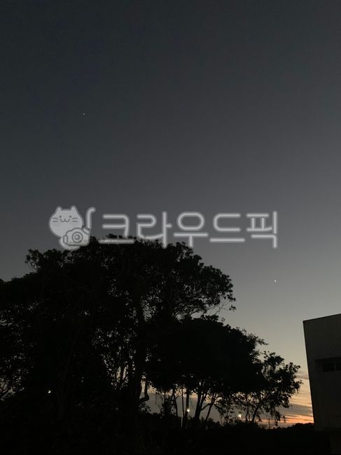 nature,자연,outdoors,옥외,밤,저녁,달,나무