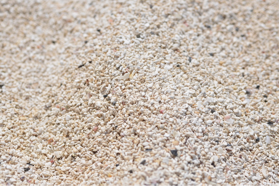 우도모래,nature,자연,sand,모래,산호초모래