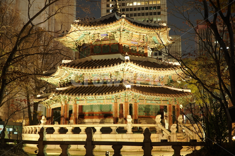 환구단,환단,원구단,야경,문화재,전통,대한제국,조선,문화,전통문화,한국,korea,서울,seoul,한옥,건물,빌딩,building,건축물,건축,culturalassets,culturaltreasure,황궁우,천단,신단,제단,해태,나무,역사,히스토리,history,야경,밤,풍경,nightscape,night,landscape,한국전통,한국문화,korean traditional,korean culture,랜드마크,landmark,tourist attraction,한국랜드마크,한국관광지,한국명소,korea landmark,korea tourist attraction,건축물,건물외관,exterior,building,structure,architecture,construction,pagoda,탑,shrine,신사,worship,예배