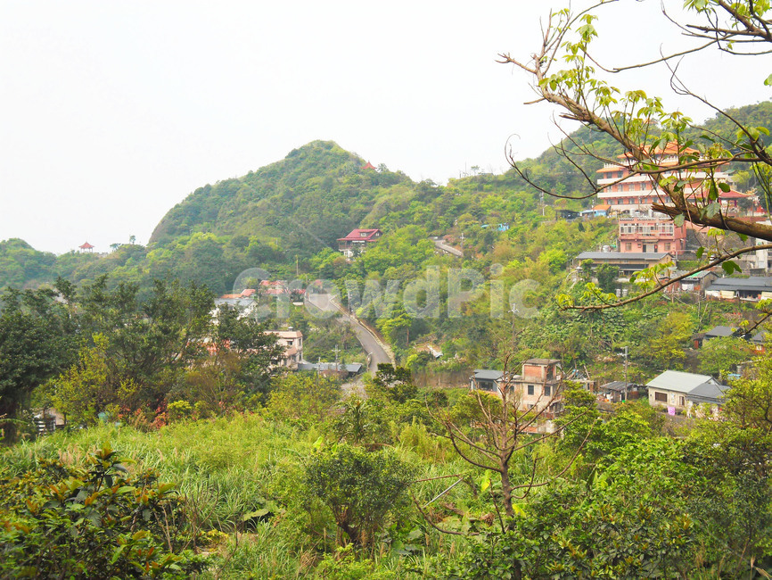 대만,숲,나무,풍경,초록색,푸른,도시,풍경,city,landscape,해외,외국,세계,foreign,oversea,world,세계도시풍경,해외도시풍경,외국도시풍경,world cityscape,nature,자연,outdoors,옥외