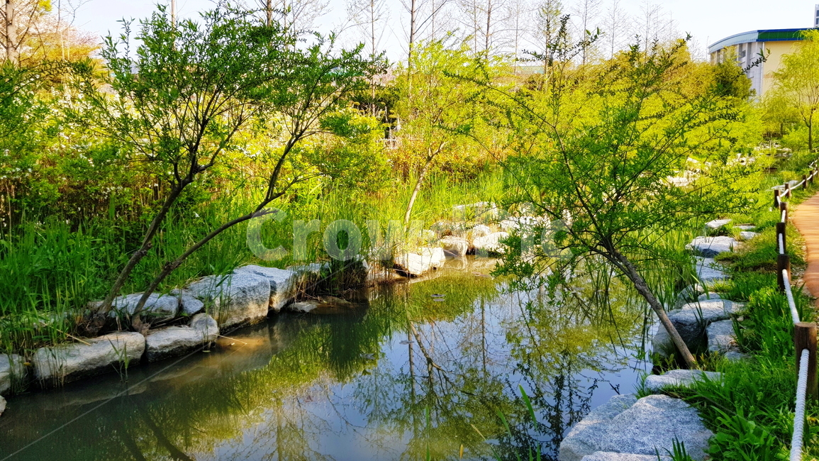 연못,정원,호수,풍경,자연,자연,풍경,nature,landscape,water,물,outdoors,옥외