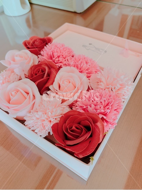 카네이션,핑크,레드,서물,어버이날,기념일,축하,anniversary,congratulation,celebrate,celebration