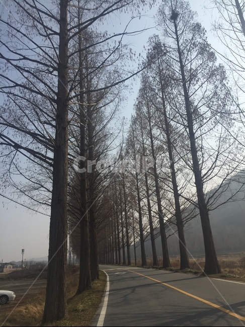road,도로,tarmac,타맥,asphalt