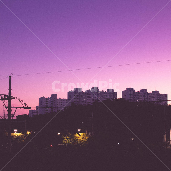 풍경,몽환적,일상,보라빛,outdoor,도시,풍경,city,landscape