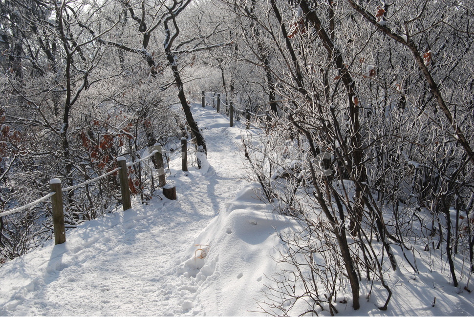 청계산,100대명산,매봉,설원,등산로,능선,치유,여행,돌,산행,힐링,자연,동행,등산,계절,한국,한국명산,한국등산,풍경,나무,하늘,겨울,계절,winter,season,자연,풍경,nature,landscape,outdoors,옥외
