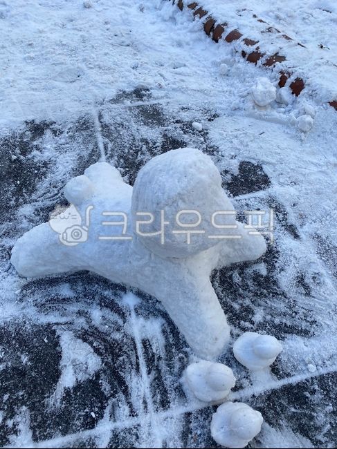 눈,눈사람,눈강아지,강아지눈사람,겨울