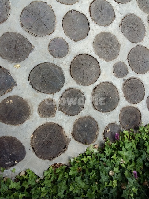 길,자연,배경,무늬,희색,나무,도트,nature,tree,road,패턴,Pattern,보도블럭,보도,동그라미,감성사진